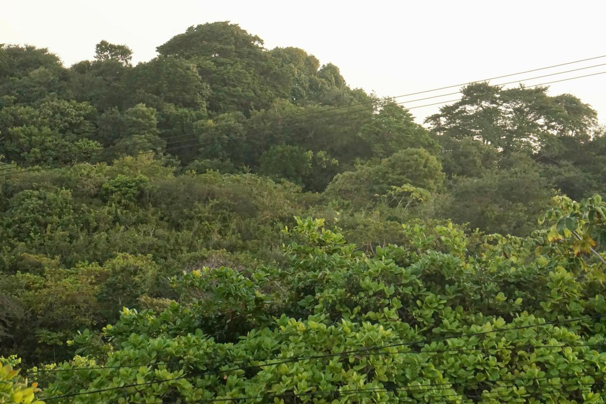 Chales Tucano Praia Da Pipa - Natureza, Conforto, Tranquilidade Praia de Pipa Экстерьер фото